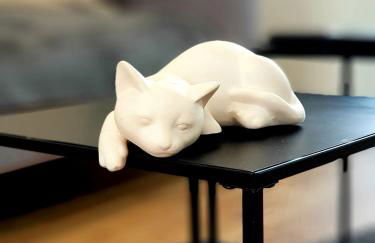 Le Chat d'Or - Grande cuisine - Foto 12