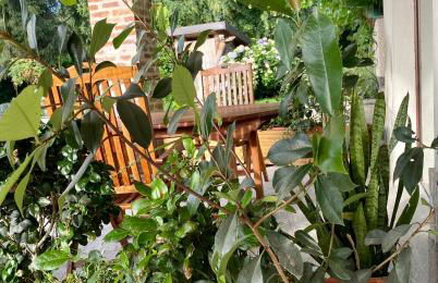 Villa Giulia - Bisalta - Foto 48