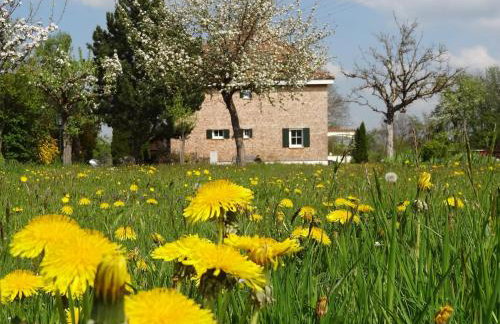 Landhaus Löwenzahn - Foto 9
