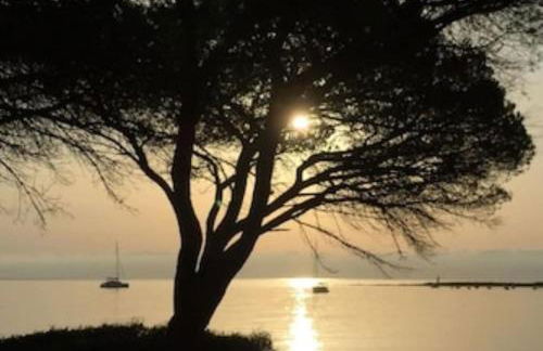 Bellissima villa Alessandra grande piscina privata giardino BQ posto auto - Foto 26