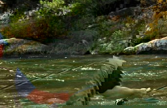 Pines at Meadow Ridge - Photo 18