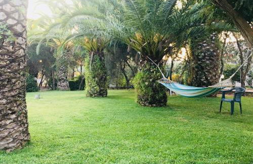 Residence Conchiglia San Giovanni - Foto 7