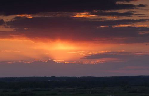 U Wileńskich - Foto 9