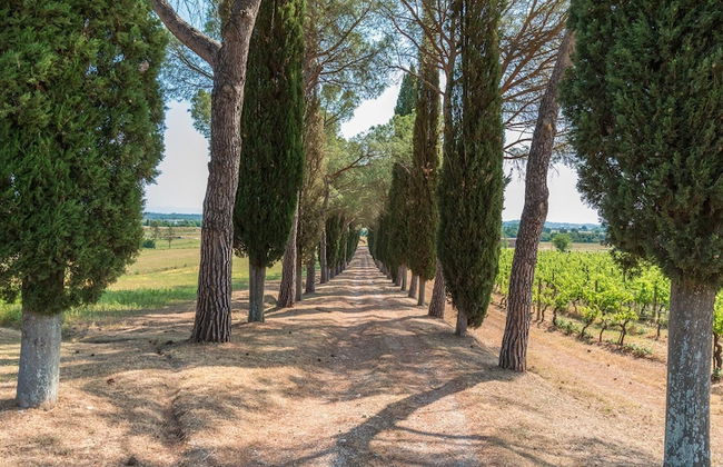 Si-a468-spla0at - Fattoria L Olmo Rosso 14 - Foto 34