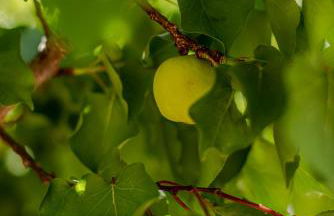 Casa Amina - Photo 41