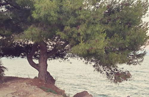 Ca la Mercè - Foto 29