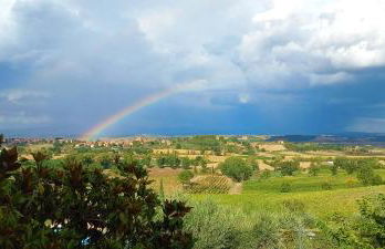 Poggio Olivo - Foto 21