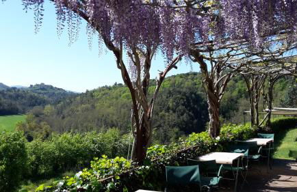 Bosco Della Spina - Foto 34