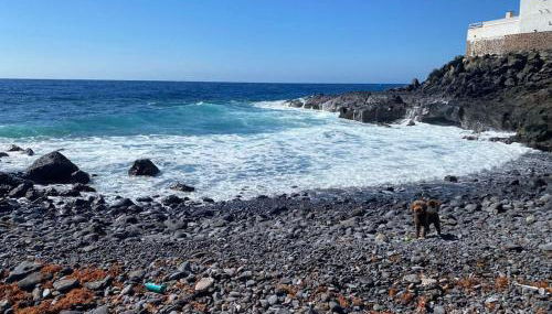 Coqueto piso a 2 min de la playa - Foto 5