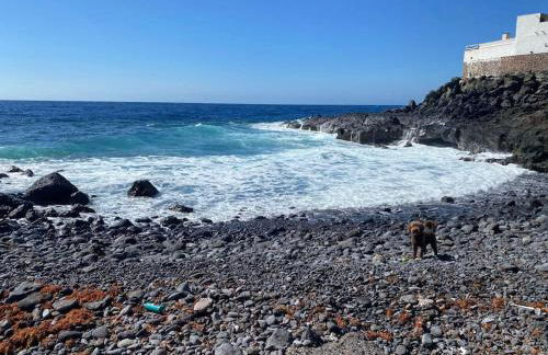 Coqueto piso a 2 min de la playa - Foto 5