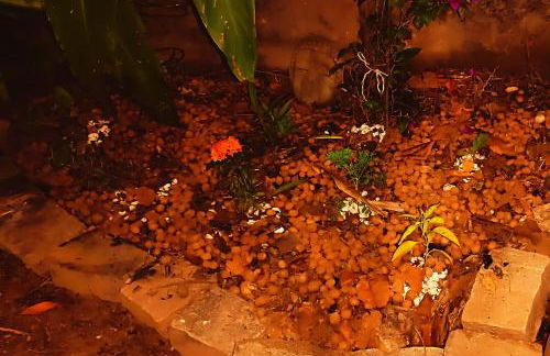 Casa na praia com quintal amplo e piscina - Foto 22