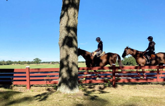 4 Person Holiday Home in Hagby - Foto 35