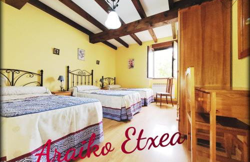 Araiko Etxea Casa Rural - Foto 15