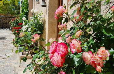 Domaine de Saint Pons - Foto 15