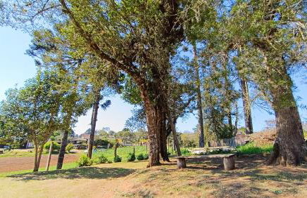 Chácara do Sapé - Foto 25