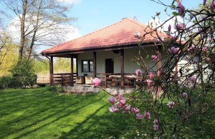 Domek w NABO - Foto 1