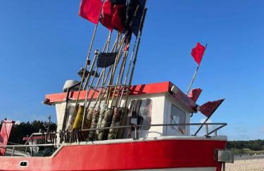 Villa OCTOPUS - Foto 24