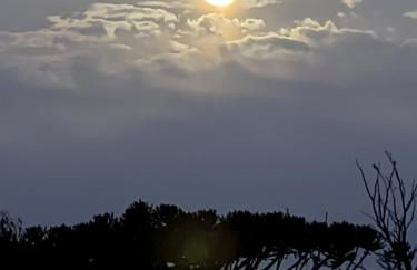 The Ranch Cabanas - Foto 36