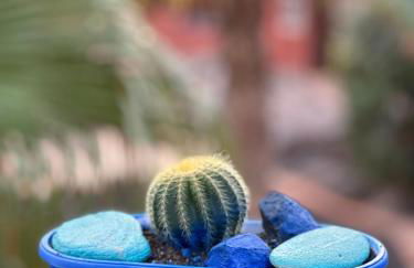 Casita Fuertencanto - Photo 23