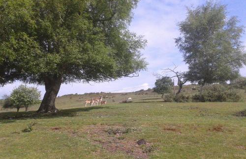 Primrose Spinney - Foto 47