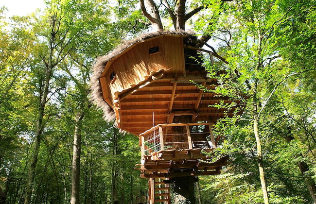 L'Arbre à Cabane - Foto 35