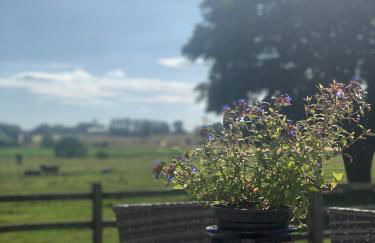 Bainvalley Cottages - Group Accommodation - Foto 45