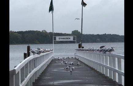 Moderne Ferienwohnung am Yachthafen Bad Zwischenahn - Foto 22