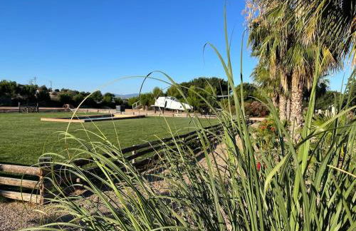 Finca Fuente Magan - Foto 45