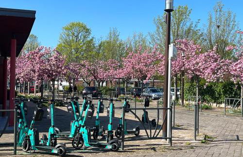 CosySmartStudio - Foto 25