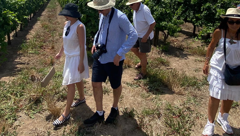 Familia Dardanelli Winery Tour - Photo 3