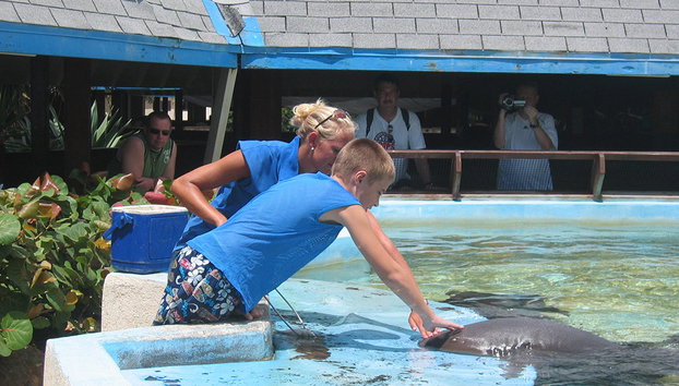 Sea Aquarium and Sea Aquarium Beach Tour - Photo 4