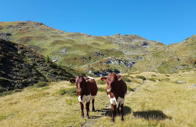 Chaletdorf Fanningberg - Foto 69