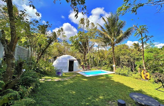 Shanti Wellness Sanctuary - Foto 53