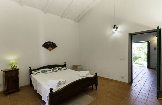 Agricontura - Foto 4