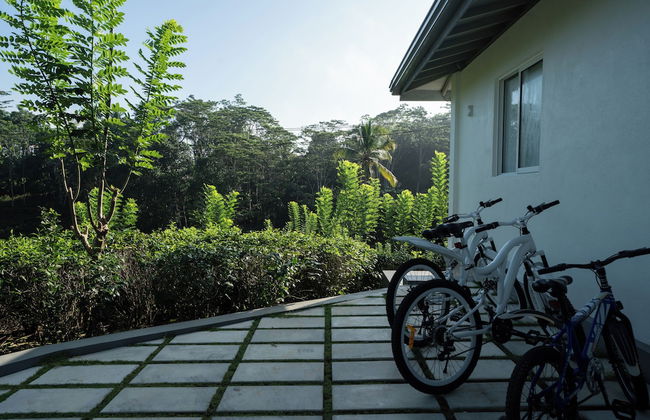 Camelia Ranch - Foto 23