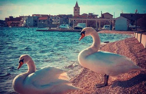 Casa Trussardi - Photo 31