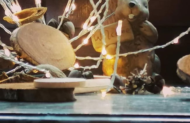 Holiday Home in Saint-hubert With Fenced Garden - Photo 26