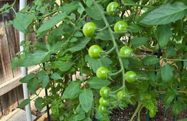 Peaceful Apartment - Foto 44