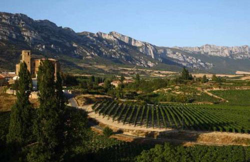 SagastiEnea Villa con Piscina y Tenis en la Rioja - Photo 24