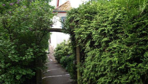 Das Alte Forsthaus - Foto 3