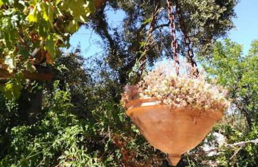 Casa do Sul - Foto 38