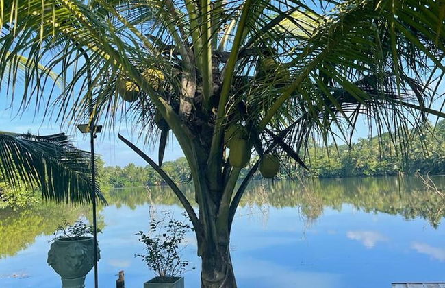 Morning Guest can see Momkeyies and Birds - Foto 35