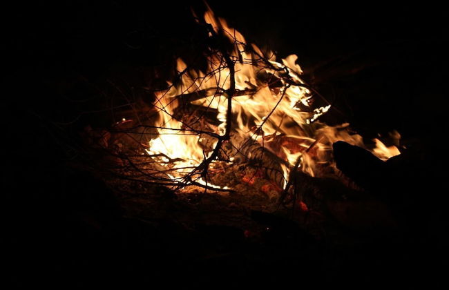 The Cradle Rest - Foto 28