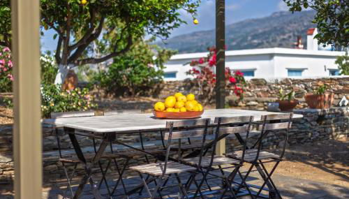 Lemoni House - Foto 1