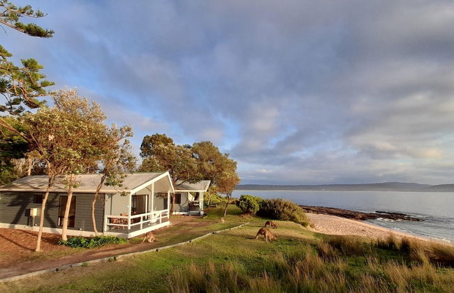 NRMA Murramarang Beachfront Holiday Resort - Foto 1