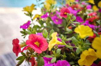 Cottage provencal - Villa saint Marc - Foto 61