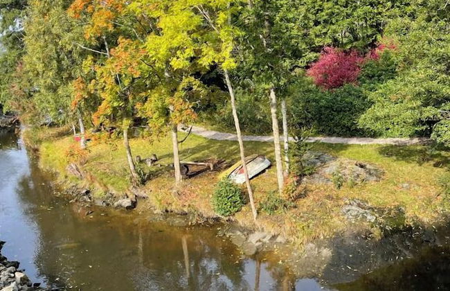 Forest house - Foto 25