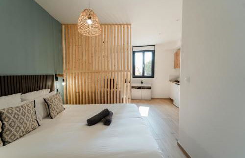 Vina Rhona - Studio de charme tout équipé entre Rhône et Vignobles de Condrieu - Foto 31