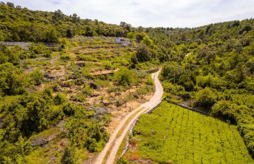 Meadow Hill - Foto 37