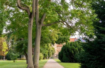 Maximi Apartments by Rosini - gegenüber Dom & nahe Schloss Merseburg, ideal für Geschäftsreisende, Familien & Longstay - Foto 46